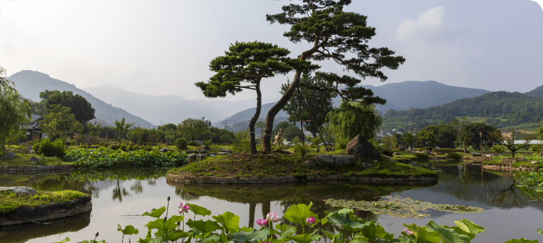 대구 북구