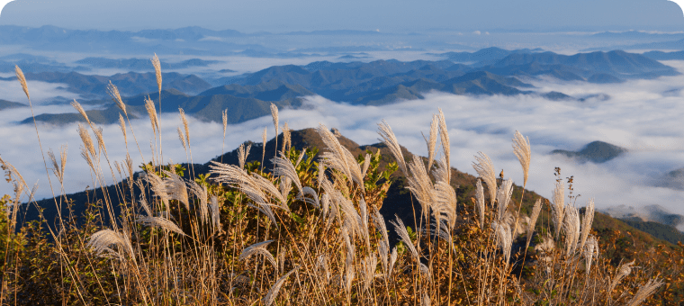 전북 완주