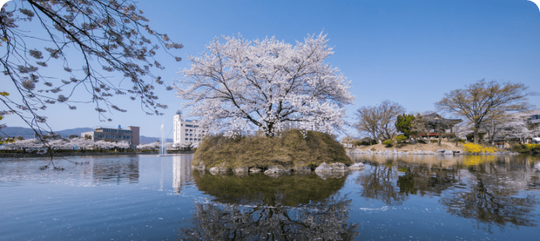 경북 김천